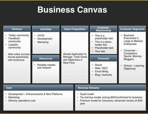 Direct Sales Business Plan Template Free Of Investor Presentation Template