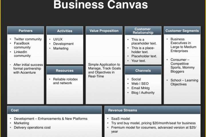Direct Sales Business Plan Template Free Of Investor Presentation Template