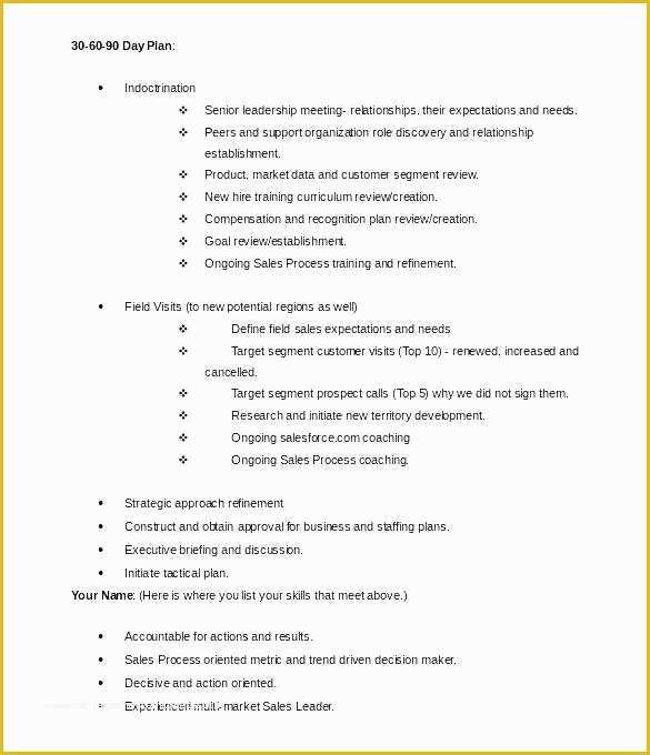 Direct Sales Business Plan Template Free Of Sales Business Plan Template Free 27 Sales Plan