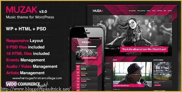 Dj Website Templates Free Download Of 30 Best Music Wordpress themes