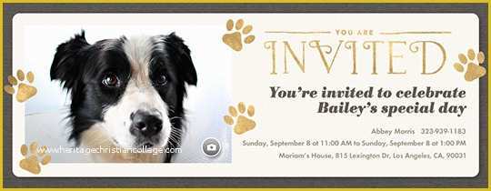 Dog Birthday Party Invitations Templates Free Of Free Pet Party & Animal themed Line Invitations