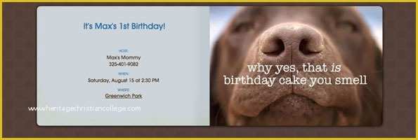 Dog Birthday Party Invitations Templates Free Of Pet Birthday Party Guide Evite