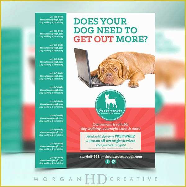 Dog Walking Flyer Template Free Of 15 Dog Walking Flyer Templates Psd Vector Eps Ai