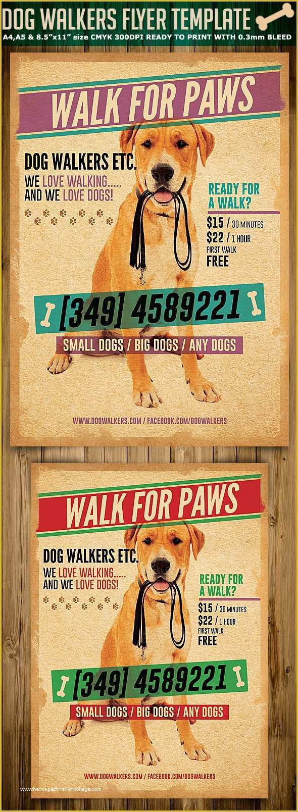 Dog Walking Flyer Template Free Of Dog Walkers Flyer Template 2 On Behance