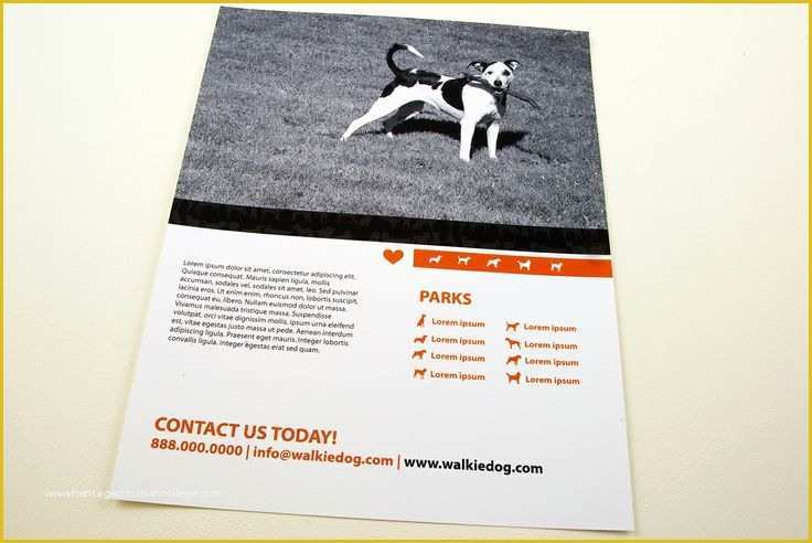 Dog Walking Flyer Template Free Of Dog Walking Service Flyer Template