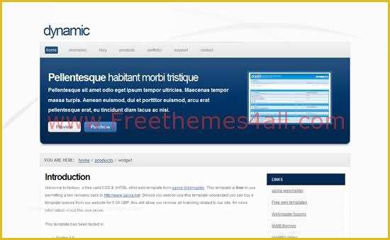 Dynamic Flash Website Templates Free Download Of Dynamic Blue White Css Template Download