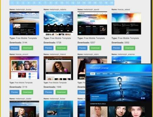 Dynamic Flash Website Templates Free Download Of Free Website Templates Free Web Templates Flash