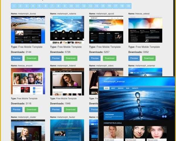 Dynamic Flash Website Templates Free Download Of Free Website Templates Free Web Templates Flash