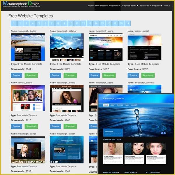 30 Dynamic Flash Website Templates Free Download