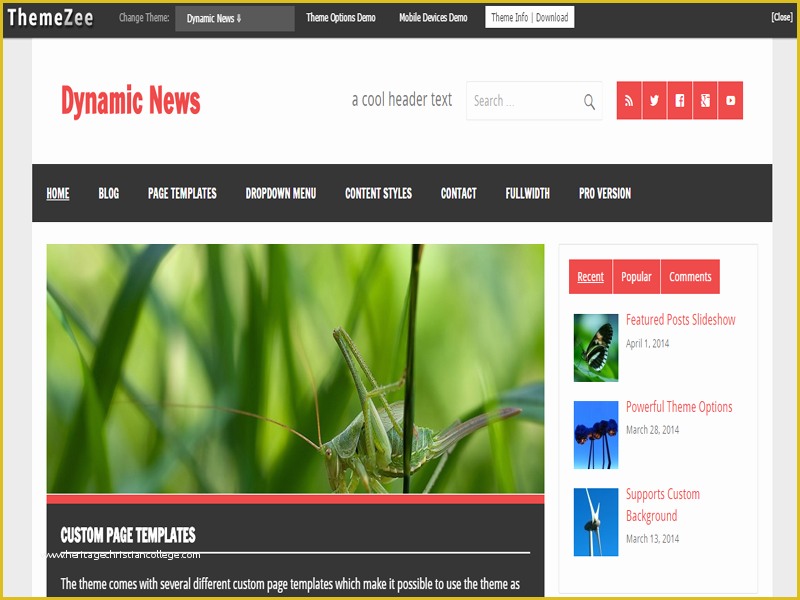 Dynamic Responsive Website Templates Free Download Of Dynamic News Free Responsive Wordpress theme