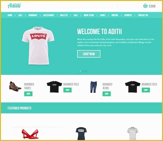 Ecommerce Website Templates Free Download HTML with Css Of Aditii A Flat E Merce Responsive Web Template