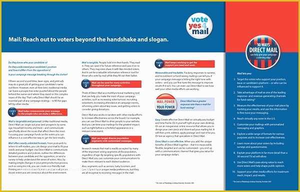 Election Flyer Template Free Of 10 Political Brochures