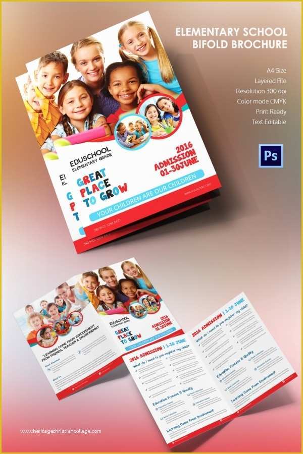 Elementary School Brochure Template Free Of 19 School Brochure Psd Templates & Designs