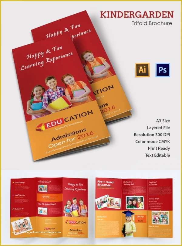 Elementary School Brochure Template Free Of 19 School Brochure Psd Templates & Designs