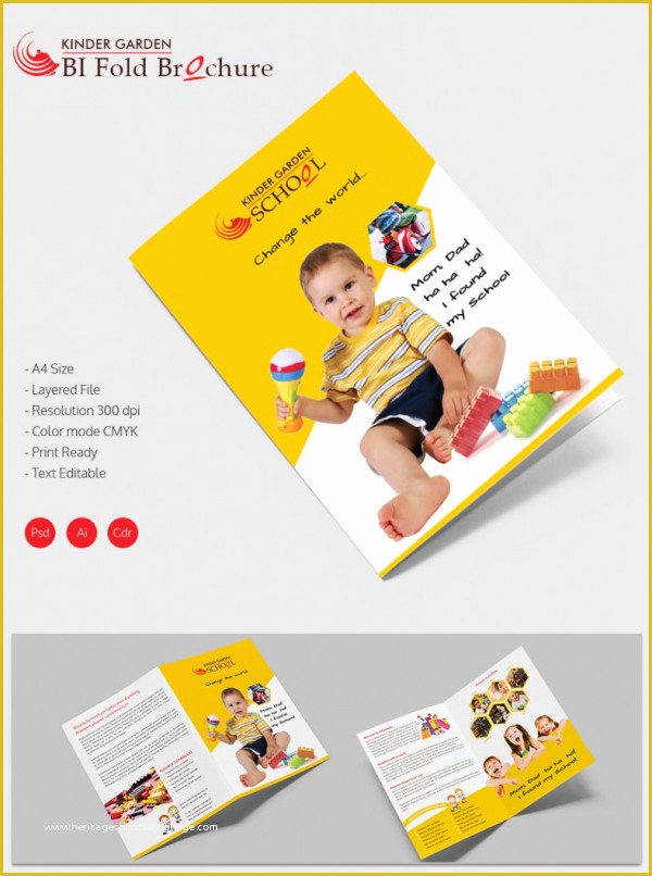 Elementary School Brochure Template Free Of 19 School Brochure Psd Templates & Designs