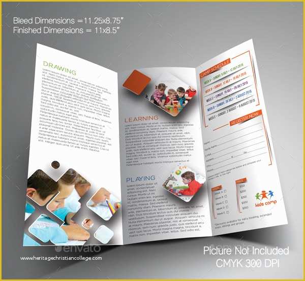 Elementary School Brochure Template Free Of 20 School Brochures Template