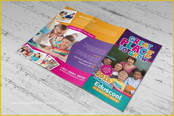 Elementary School Brochure Template Free Of 30 Educational Brochure Templates Free Psd Word Designs