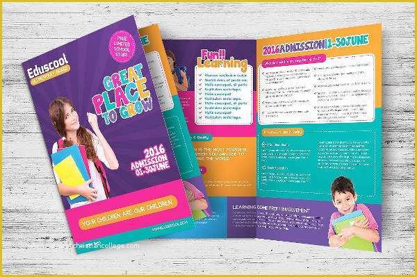 Elementary School Brochure Template Free Of 34 Brochure Templates Download Downloadcloud