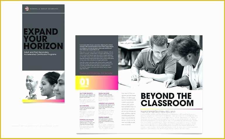 Elementary School Brochure Template Free Of School Brochure Template Free Elementary School Brochure