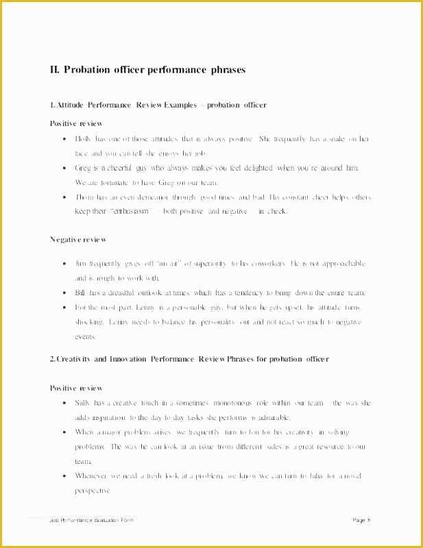 Employee Performance Agreement Template Free Of Agency Performance Job Plan Examples Evaluation Template