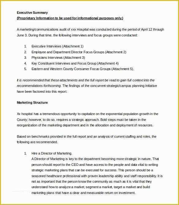 Executive Summary Business Plan Template Free Of 31 Executive Summary 