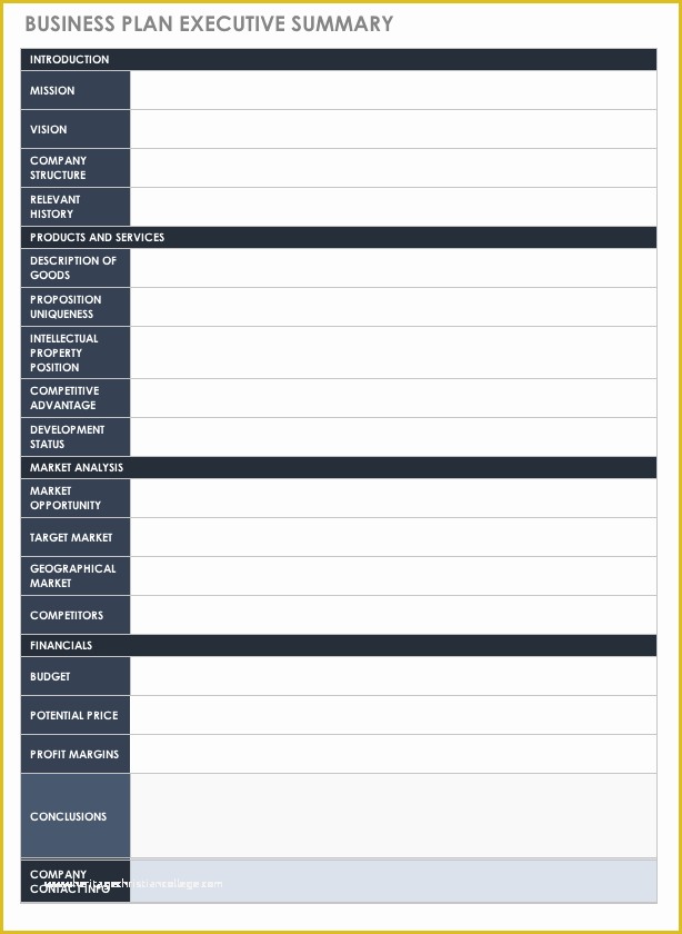 Executive Summary Business Plan Template Free Of Free Executive Summary Templates