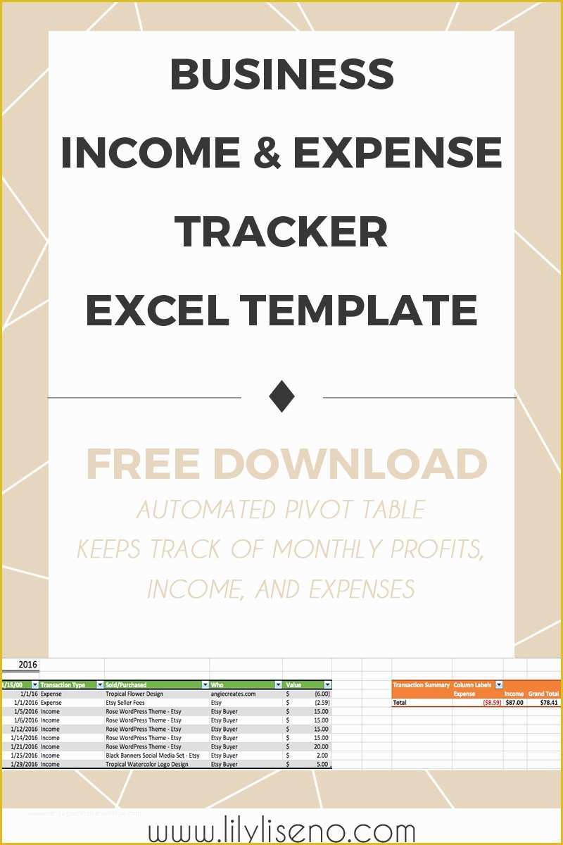 Expenses Template Excel Free Of In E and Expense Tracker Excel Template Free Download
