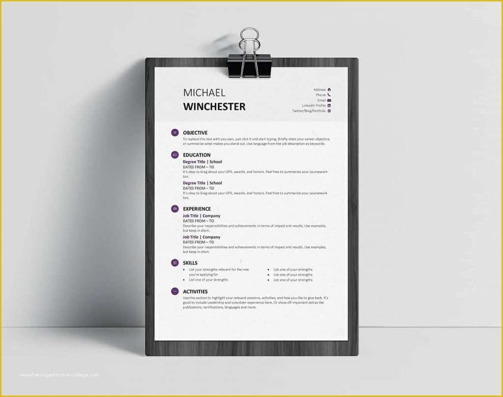 Eye Catching Resume Templates Free Of Eye Catching Resume Templates Microsoft Word