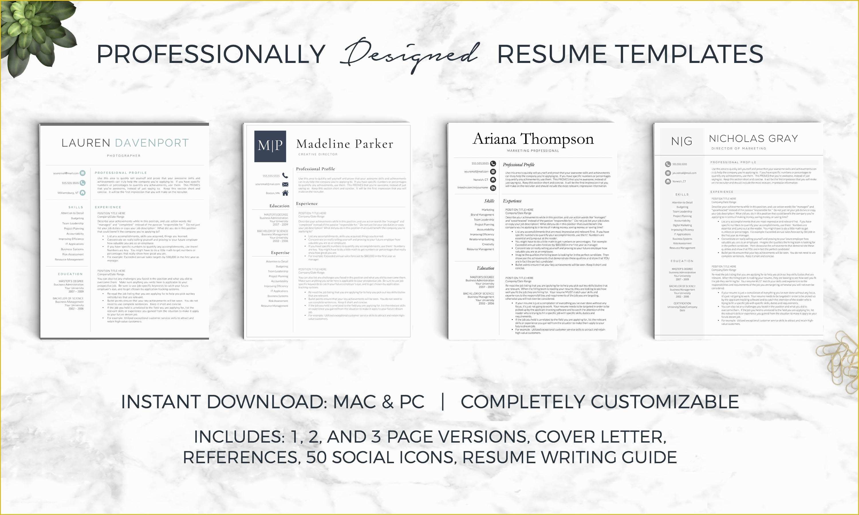 Eye Catching Resume Templates Free Of Eye Catching Resume Templates Sarahepps