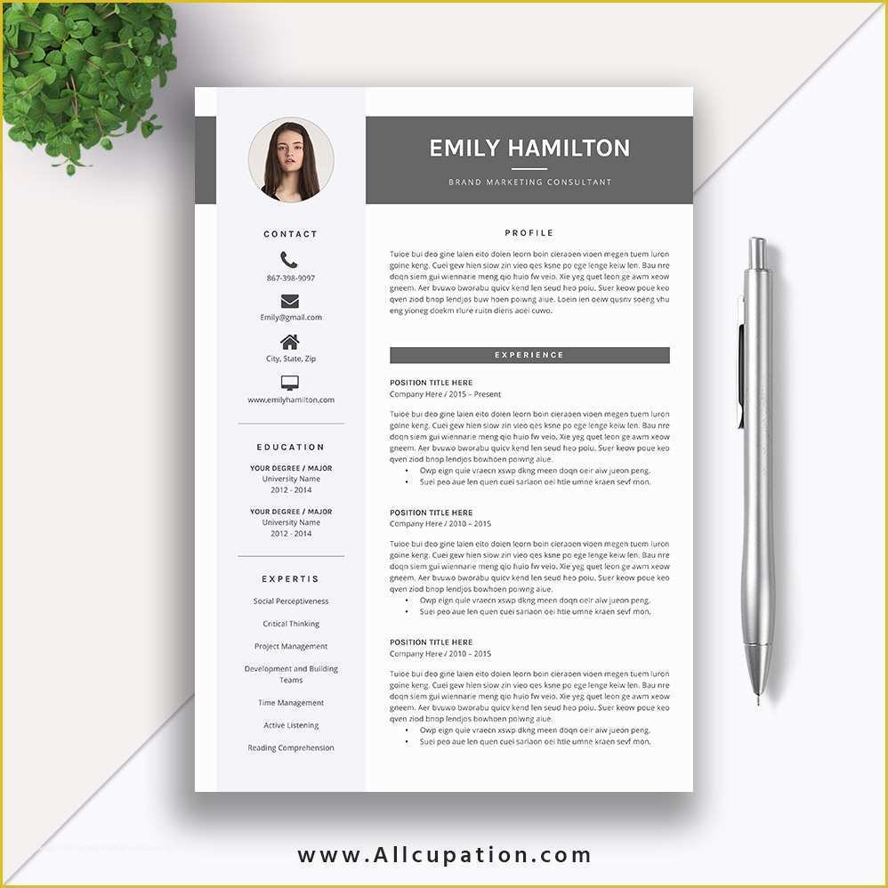 Eye Catching Resume Templates Free Of Nice Eye Catching Resume Templates Eye Catching