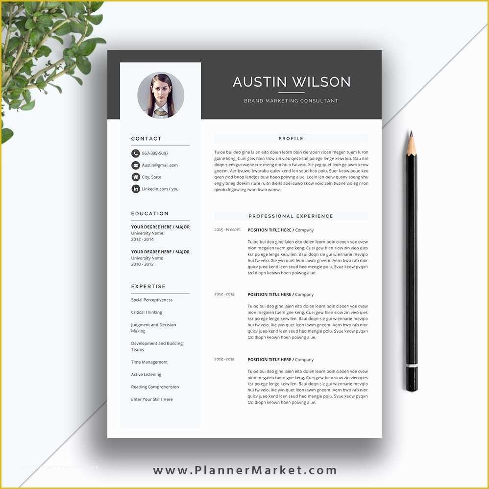 Eye Catching Resume Templates Free Of Resume Templates Eye Catching