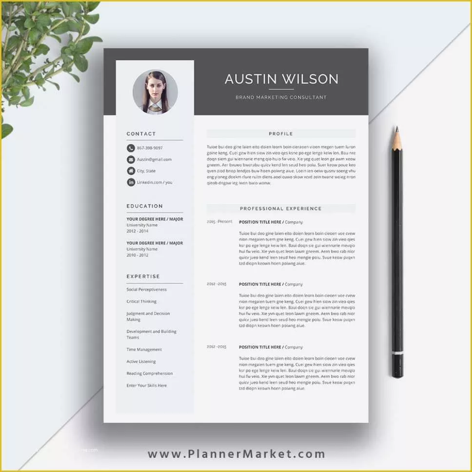 Eye Catching Resume Templates Free Of Stirring Eye Catching Resume Templates Microsoftord Free