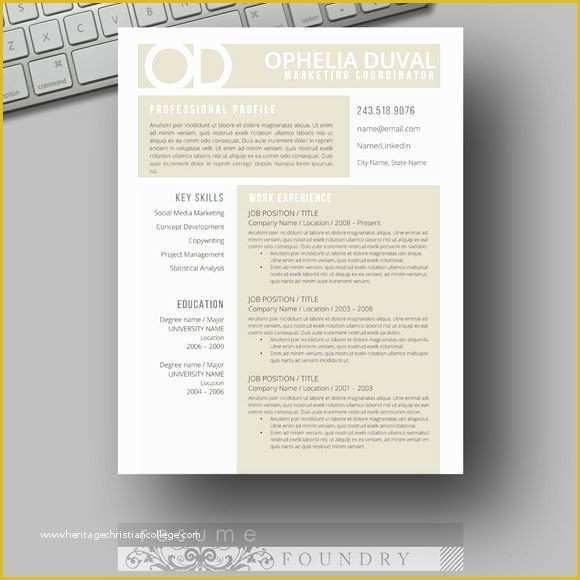 Eye Catching Resume Templates Free Of Unique Eye Catching Resume Template Professional and