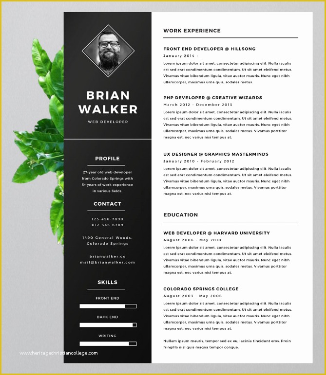 Eye Catching Resume Templates Microsoft Word Free Of Eye Catching Resume Templates Resume Ideas