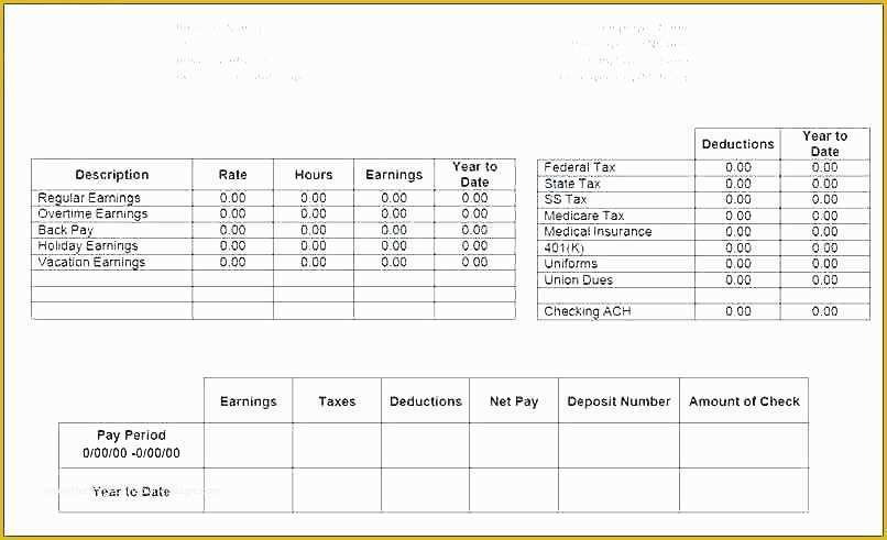 Fake Pay Stub Template Free Of 3 Check Stub Templates Free Samples Examples formats