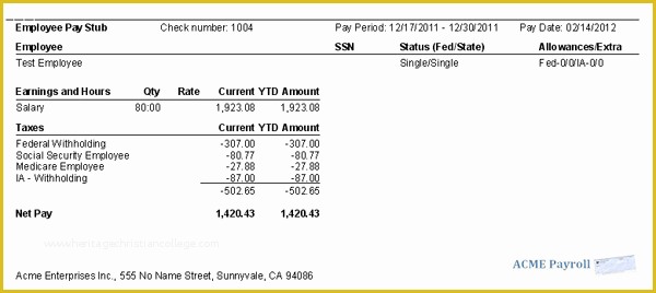 Fake Pay Stub Template Free Of 6 Fake Paycheck Stubs Online