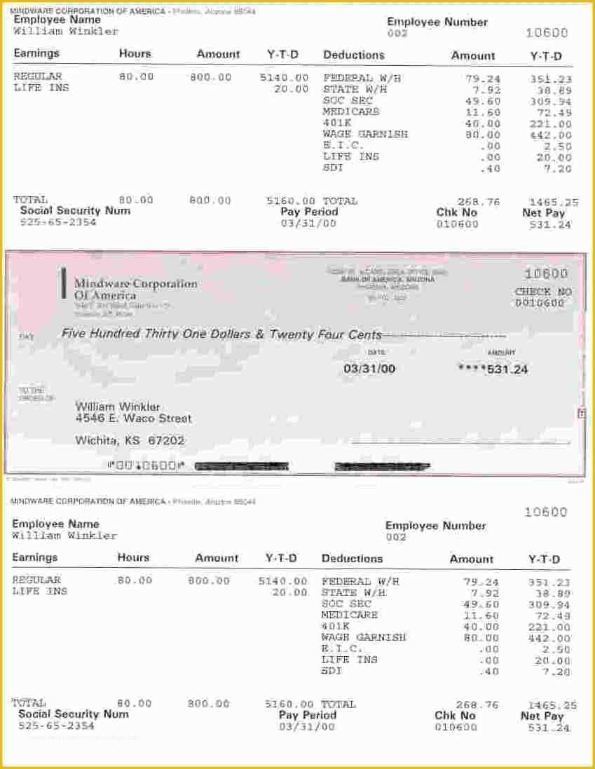 Fake Pay Stub Template Free Of 7 Fake Payroll Check Stubs