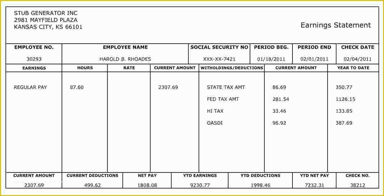 Fake Pay Stub Template Free Of Check Stub Template