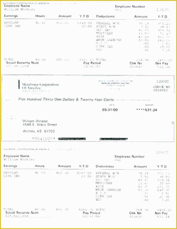 Fake Pay Stub Template Free Of Small Business Pay Stub Template Best Create Stubs