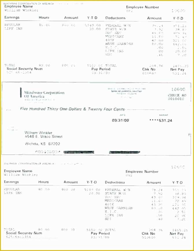 fake-pay-stub-template-free-of-small-business-pay-stub-template-best-create-stubs