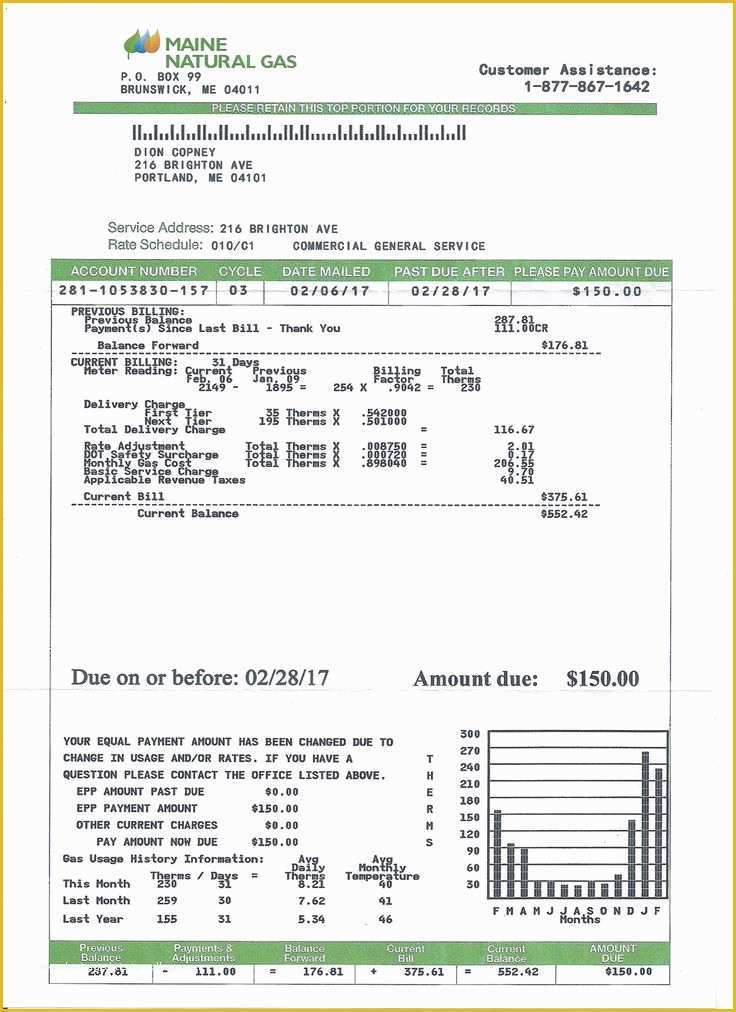 Fake Utility Bill Template Free Of Utility Bill Statement Monthly Custom Proof Of
