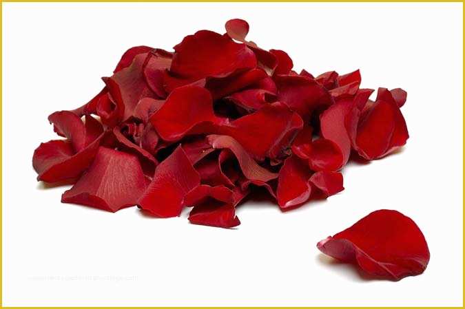 Falling Flower Petals after Effects Template Free Of 12 Uses for Rose Petals—from the Kitchen to the Boudoir