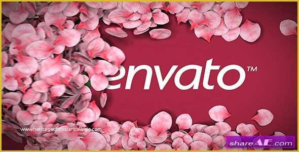 Falling Flower Petals after Effects Template Free Of Falling Flower Petals after Effects Project Videohive