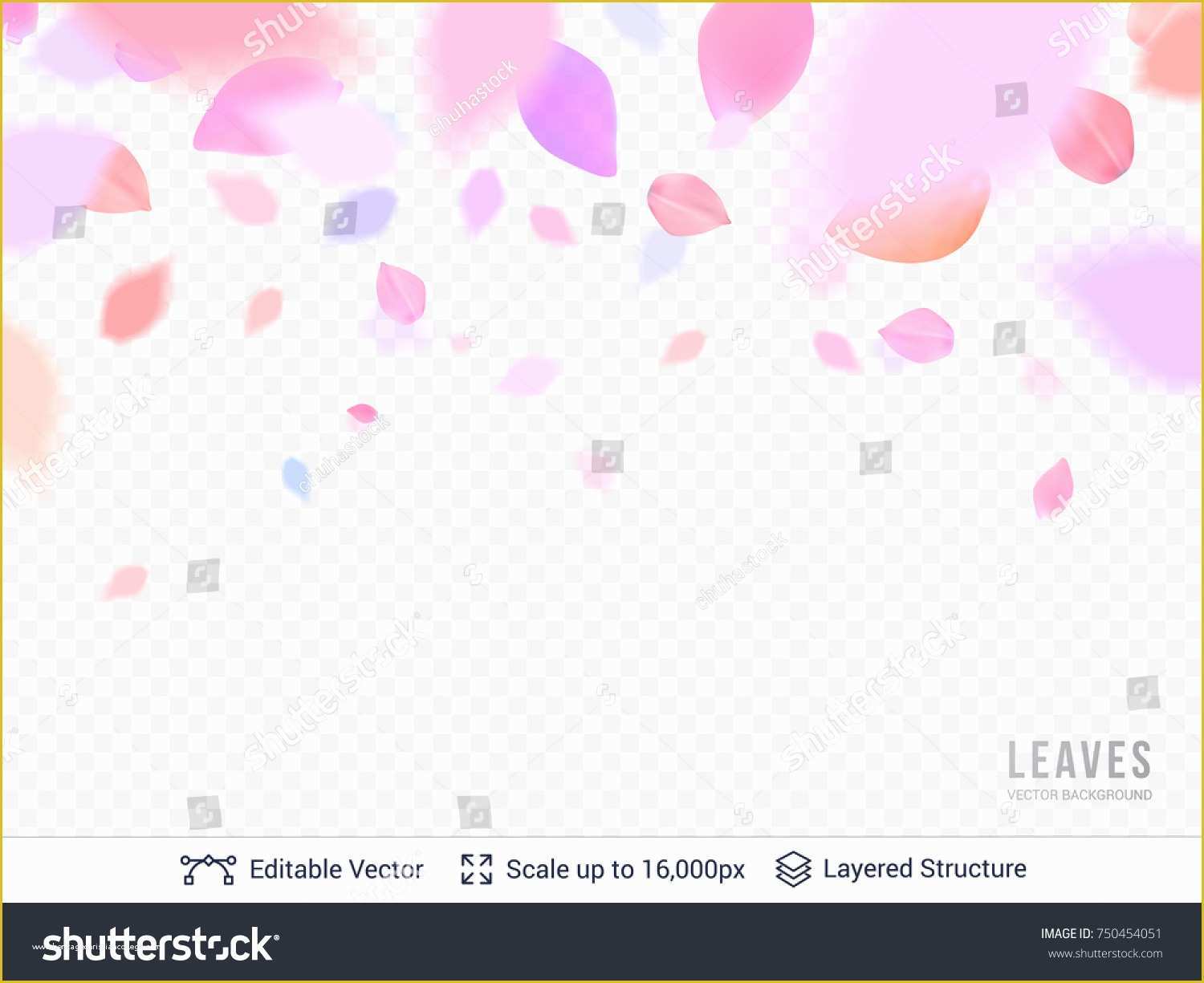 Falling Flower Petals after Effects Template Free Of Pink Pastel Petals Transparent Background Stock Vector