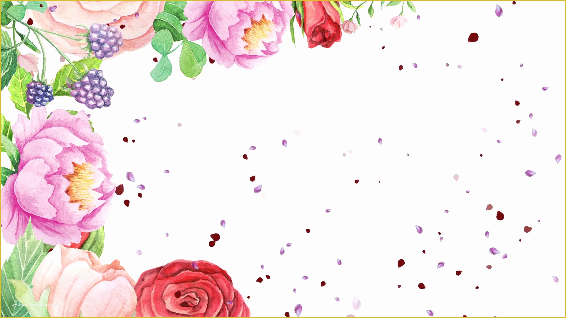 Falling Flower Petals after Effects Template Free Of Watercolor Flowers and Falling Petals Motion Background