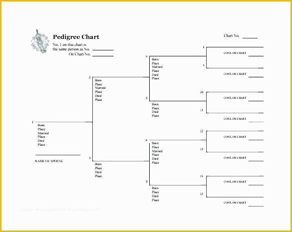 family tree maker for mac vs macfamilytree 8 2018 family tree maker for mac vs macfamilytree 8 2018