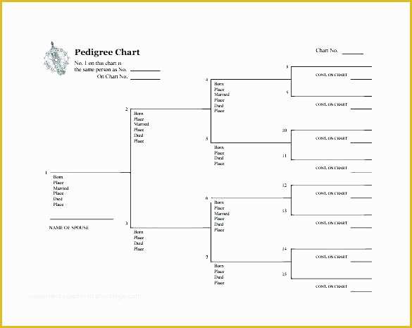 Family Tree Maker Free Template Of Easy Printable Family Tree Maker Free Charts Design