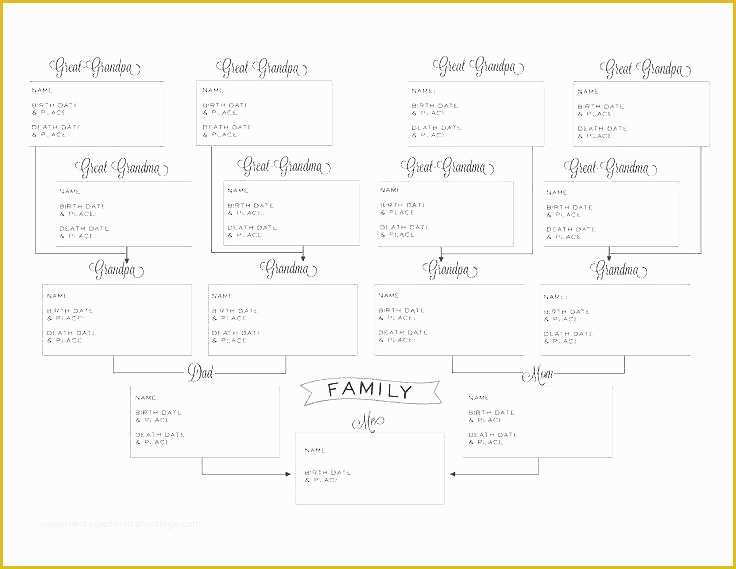 Family Tree Maker Free Template Of Family Pedigree Chart Template