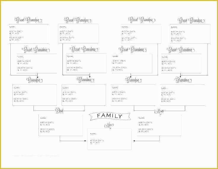 Fillable Pedigree Chart