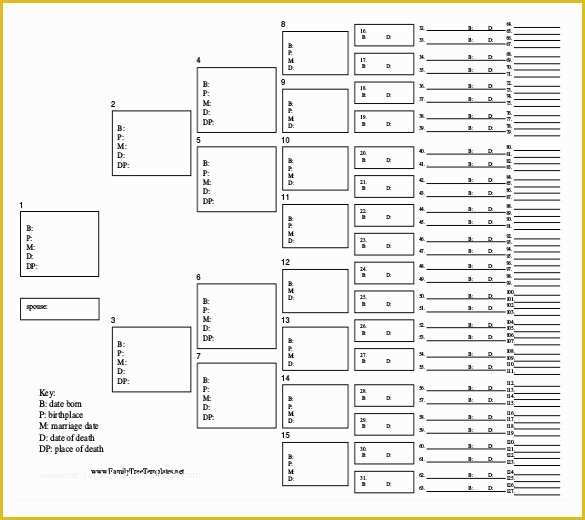 Family Tree Maker Free Template Of Family Tree Maker Templates Beepmunk